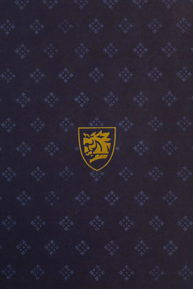 kingdom come deliverance